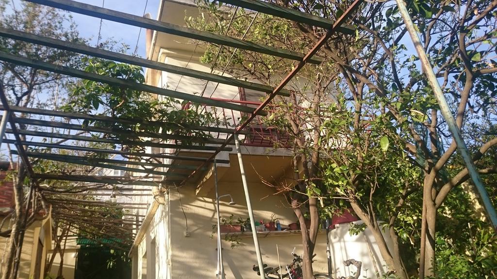 Apartments Petkovic クチフェ 部屋 写真