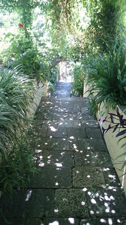 Apartments Petkovic クチフェ エクステリア 写真