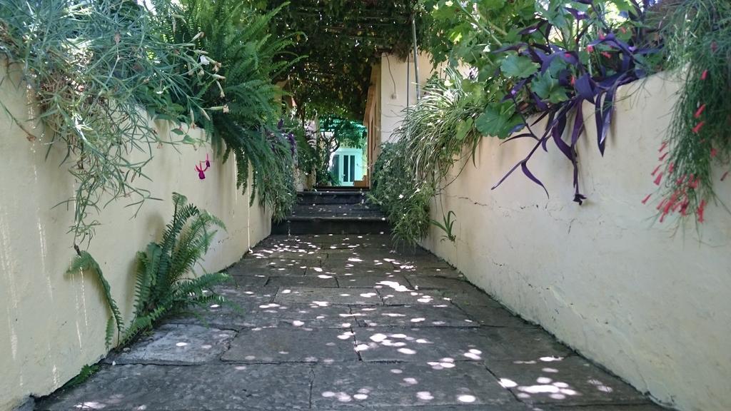 Apartments Petkovic クチフェ エクステリア 写真