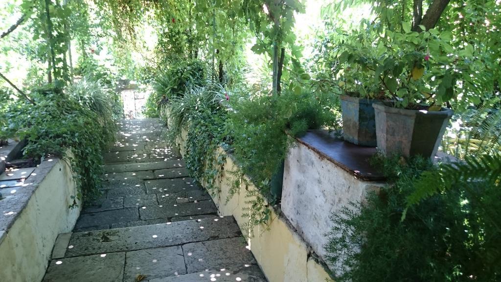Apartments Petkovic クチフェ エクステリア 写真